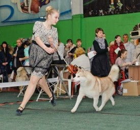 5cRxTHZGruQ.jpg (54.43 КБ, Просмотров: 6780) 5cRxTHZGruQ.jpg