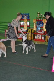 00a4PcDM1yI.jpg (54.22 КБ, Просмотров: 6756) 00a4PcDM1yI.jpg