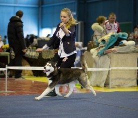 2eI83sO0tYM.jpg (57.5 КБ, Просмотров: 7183) 2eI83sO0tYM.jpg