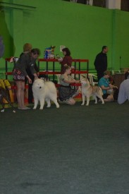 28m2JAD1Qrc.jpg (41.83 КБ, Просмотров: 7175) 28m2JAD1Qrc.jpg