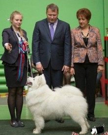 ehG2eh7LXcs.jpg (40.31 КБ, Просмотров: 6604) ehG2eh7LXcs.jpg