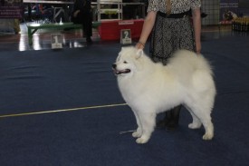 eZhJQPxrPHI.jpg (40.85 КБ, Просмотров: 7183) eZhJQPxrPHI.jpg