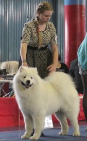 FxF7MKJUbK4.jpg (55.84 КБ, Просмотров: 6756) FxF7MKJUbK4.jpg