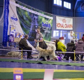 getImage (1).jpg (61.01 КБ, Просмотров: 7183) getImage (1).jpg