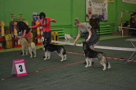 getImage (2).jpg (192.5 КБ, Просмотров: 7175) getImage (2).jpg