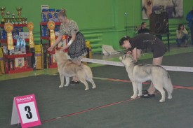 getImage (4).jpg (181.17 КБ, Просмотров: 7183) getImage (4).jpg