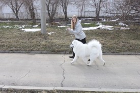 h0krWyFAj6A.jpg (72.05 КБ, Просмотров: 6582) h0krWyFAj6A.jpg