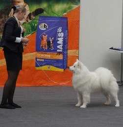 HTy0gkXmy20.jpg (14.36 КБ, Просмотров: 7183) HTy0gkXmy20.jpg