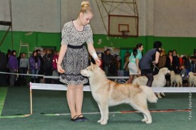 hZHdr4ZV9ts.jpg (58.09 КБ, Просмотров: 6246) hZHdr4ZV9ts.jpg