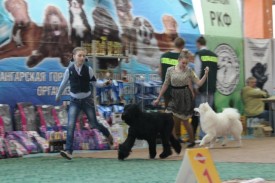 jluUM8Xl2_Q.jpg (57.73 КБ, Просмотров: 6582) jluUM8Xl2_Q.jpg