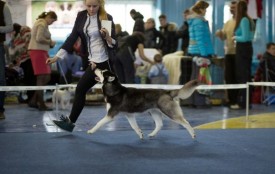 MNH-eNqC7Us.jpg (46.63 КБ, Просмотров: 6604) MNH-eNqC7Us.jpg