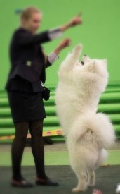 vrtSmWJpoJk.jpg (24.43 КБ, Просмотров: 6756) vrtSmWJpoJk.jpg