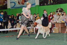 XRVkgy1ZVrs.jpg (69.45 КБ, Просмотров: 6246) XRVkgy1ZVrs.jpg