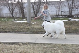 ZJaBydK9Z20.jpg (69.69 КБ, Просмотров: 6232) ZJaBydK9Z20.jpg