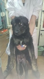 AdXNZKrX438.jpg (20.68 КБ, Просмотров: 2764) AdXNZKrX438.jpg