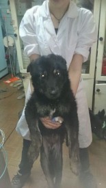 fXX94fIvWvw.jpg (20.42 КБ, Просмотров: 2764) fXX94fIvWvw.jpg