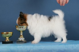 HC2U7162 (640x427).jpg (69.03 КБ, Просмотров: 1252) HC2U7162 (640x427).jpg