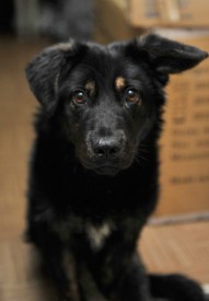 WmrP0uWGFiQ.jpg (49.06 КБ, Просмотров: 2766) WmrP0uWGFiQ.jpg