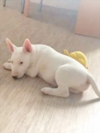 рисунок_11.jpg (21.68 КБ, Просмотров: 1338) рисунок_11.jpg