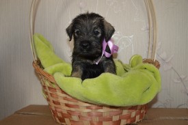 IMG_20140502_043425_8.jpg (160.92 КБ, Просмотров: 1732) IMG_20140502_043425_8.jpg