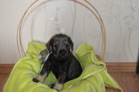 IMG_20140502_032401_0.jpg (162.67 КБ, Просмотров: 1732) IMG_20140502_032401_0.jpg