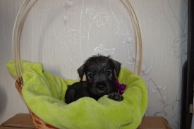 IMG_20140502_043413_7.jpg (144.02 КБ, Просмотров: 1732) IMG_20140502_043413_7.jpg