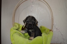 IMG_20140502_032425_2.jpg (142.28 КБ, Просмотров: 1732) IMG_20140502_032425_2.jpg