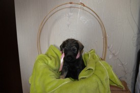 IMG_20140502_032410_1.jpg (140.66 КБ, Просмотров: 1732) IMG_20140502_032410_1.jpg