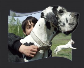 8.1.jpg (232.05 КБ, Просмотров: 14153) 8.1.jpg