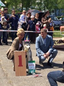 10290604_649507518457284_3796359406679136789_n (2).jpg (106.5 КБ, Просмотров: 6371) 10290604_649507518457284_3796359406679136789_n (2).jpg