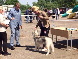 10295685_649507548457281_5003604606632106935_n.jpg (131.2 КБ, Просмотров: 6391) 10295685_649507548457281_5003604606632106935_n.jpg