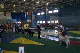 DSC02339JPG.jpeg (290.67 КБ, Просмотров: 3183) DSC02339JPG.jpeg