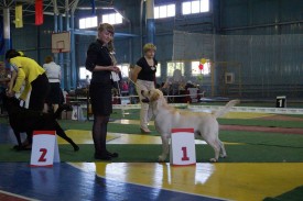 getImage.jpeg6.jpeg (165.51 КБ, Просмотров: 3792) getImage.jpeg6.jpeg