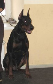 CYH5D.jpg (31.87 КБ, Просмотров: 35348) CYH5D.jpg