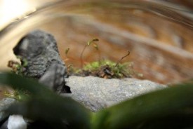 rQmHhI_RQJA.jpg (16.98 КБ, Просмотров: 2880) rQmHhI_RQJA.jpg