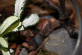 NsJwF0yMhoM.jpg (17.22 КБ, Просмотров: 2988) NsJwF0yMhoM.jpg