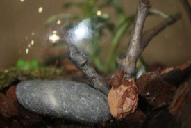 fSpGeouHw1Y.jpg (18.47 КБ, Просмотров: 2980) fSpGeouHw1Y.jpg