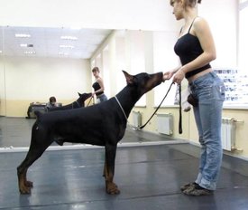 QbhtK.jpg (28.72 КБ, Просмотров: 35381) QbhtK.jpg