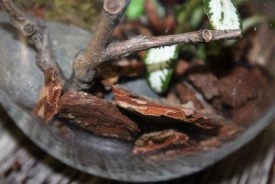 csTwnn7SKXc.jpg (22.58 КБ, Просмотров: 2811) csTwnn7SKXc.jpg