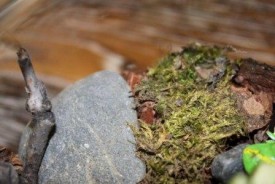 6m56pJ37Gww.jpg (27.44 КБ, Просмотров: 2981) 6m56pJ37Gww.jpg