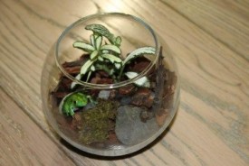 OLK_hqKFhYE.jpg (22.32 КБ, Просмотров: 2988) OLK_hqKFhYE.jpg