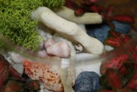 -wVfBkfugvc.jpg (22.72 КБ, Просмотров: 2811) -wVfBkfugvc.jpg