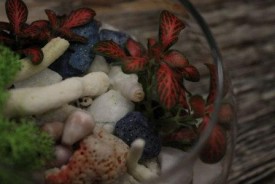 RFRaPpNFDp4.jpg (19.11 КБ, Просмотров: 2880) RFRaPpNFDp4.jpg