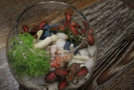 S3CDK2wgtVw.jpg (25.72 КБ, Просмотров: 2880) S3CDK2wgtVw.jpg