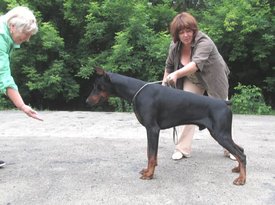 TYUSA.jpg (58.49 КБ, Просмотров: 34734) TYUSA.jpg