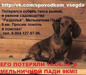 getImage.jpg (34.03 КБ, Просмотров: 1292) getImage.jpg