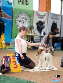 image.jpg (57.67 КБ, Просмотров: 1283) image.jpg