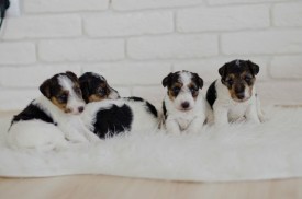 image.jpg (39.66 КБ, Просмотров: 1279) image.jpg