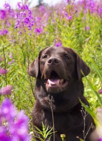 image.jpg (178.83 КБ, Просмотров: 3981) image.jpg