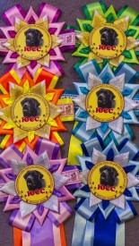 image.jpg (336.78 КБ, Просмотров: 4187) image.jpg